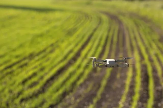 Can Drones Outsmart Toxic Herbicides?
