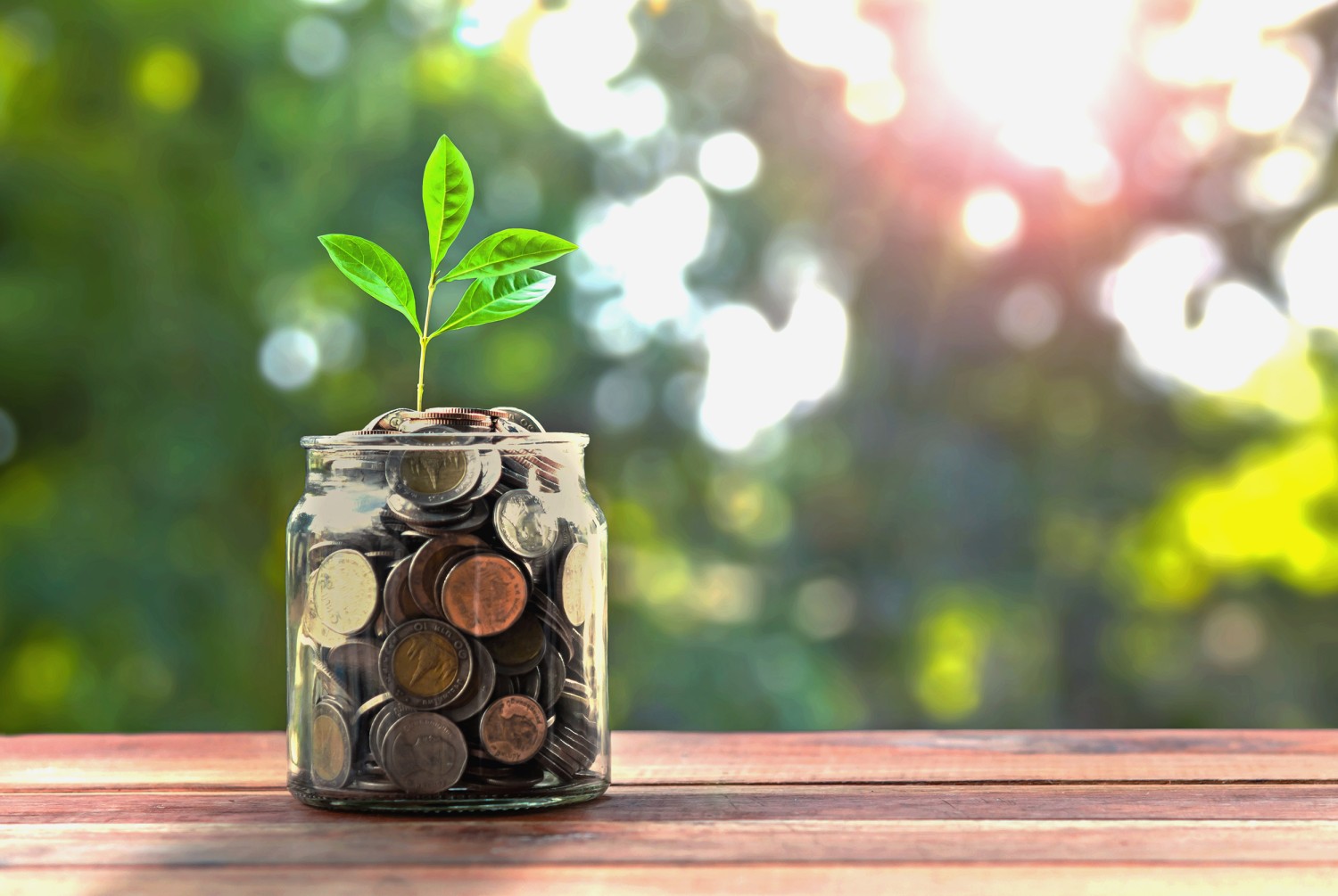 he laughs when i asked about savings — and how i made it work anyway