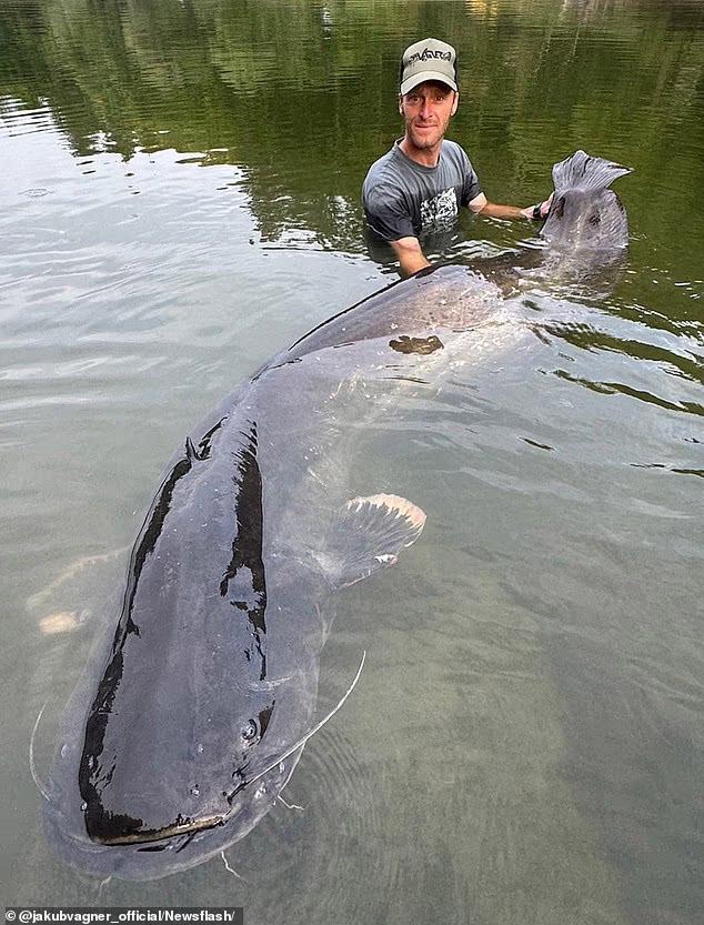 Epic 9ft Catfish Battle—You Gotta See This!