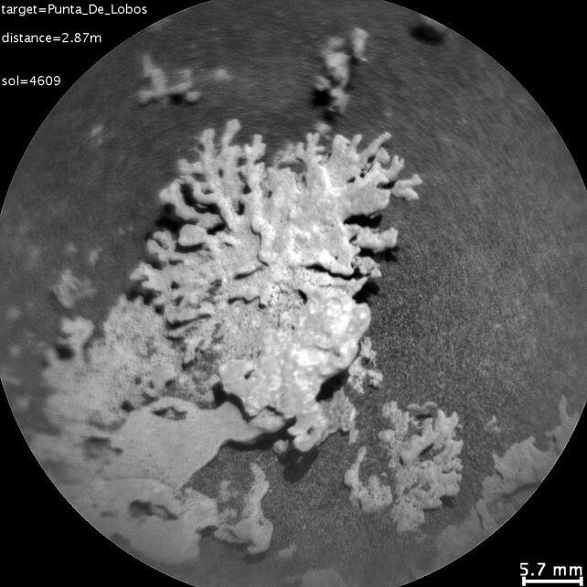 Mars Rover Finds 'Coral' Rock!