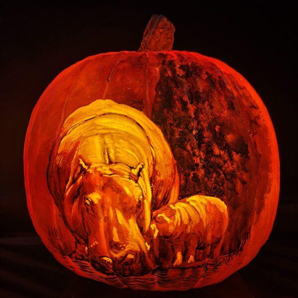Cincinnati Zoo’s Pumpkin Glow Is Back!