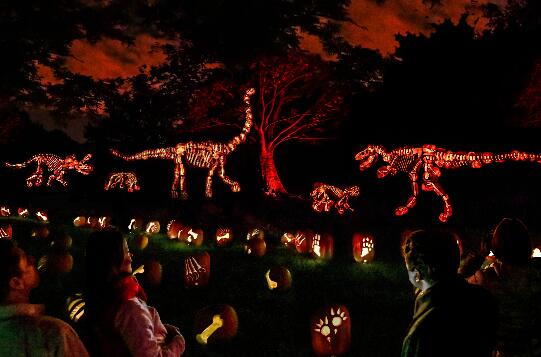 Cincinnati Zoo’s Pumpkin Glow Is Back!