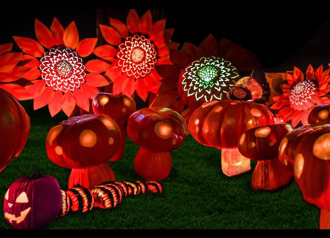 Cincinnati Zoo’s Pumpkin Glow Is Back!