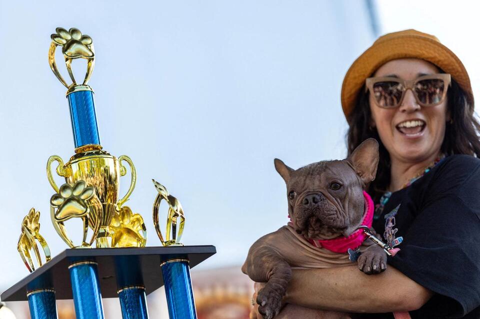 Meet Eugene’s most famous pup: Petunia!