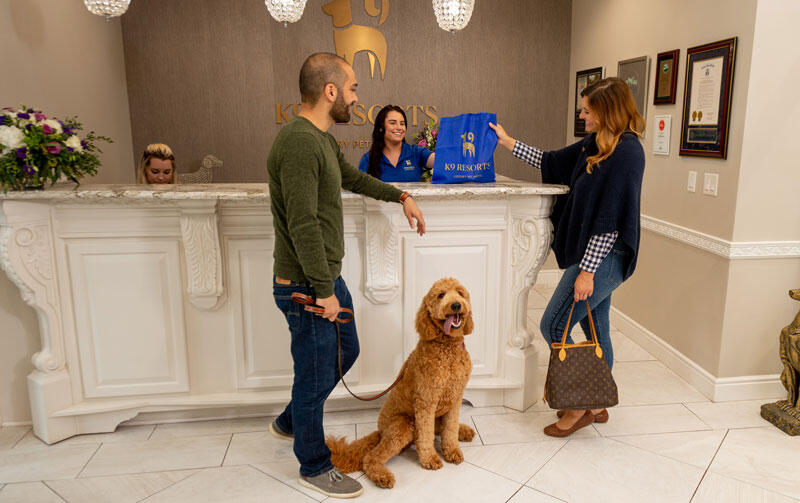 Kentwood’s new luxury pet hotel is coming soon!