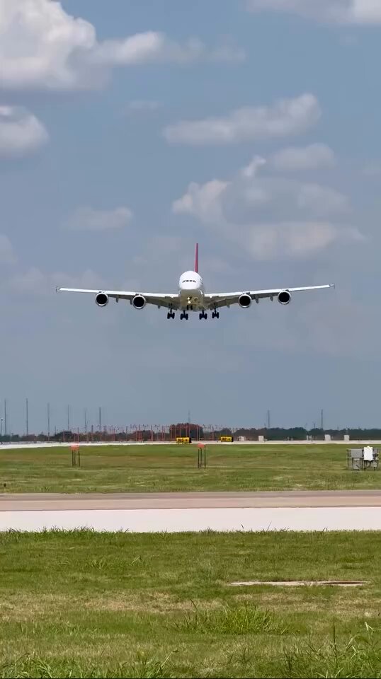 Would You Fly 17 Hours for BBQ?