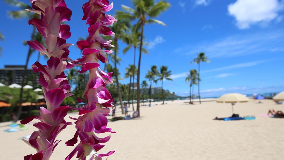Flight Prices: Where to Save & Where to Splurge