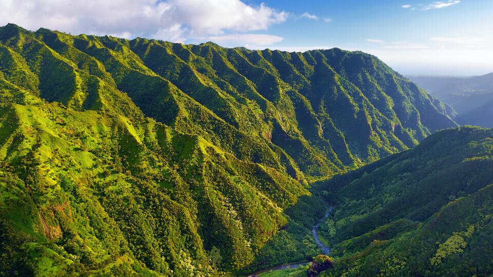 Flight Prices: Where to Save & Where to Splurge