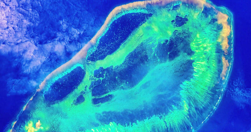 Ocean’s Secret Glow Finally Solved!