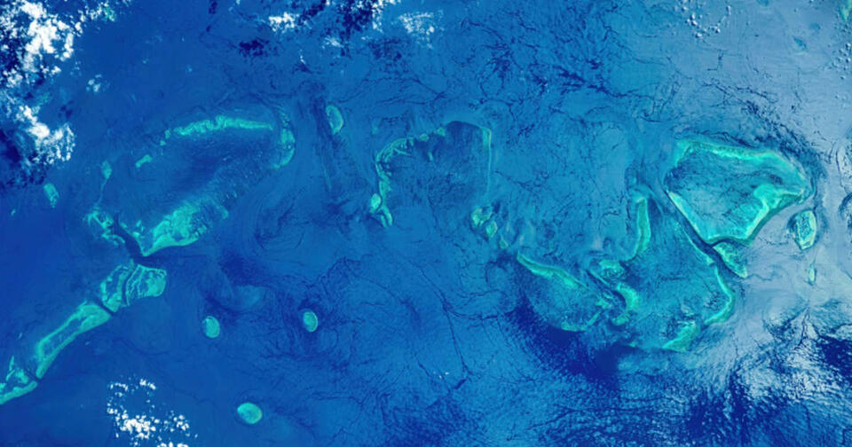 Ocean’s Secret Glow Finally Solved!