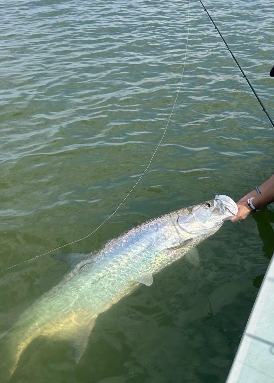 These five fish have made me question my fishing skills more than once