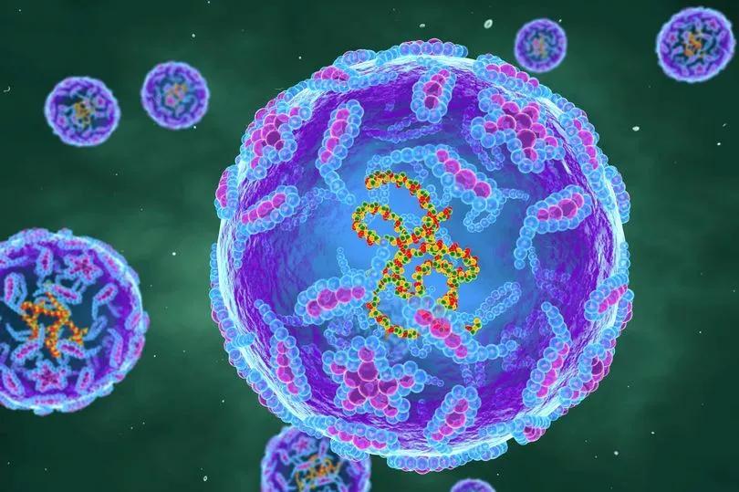 Polio Travel Alert: 5 Countries on Watch