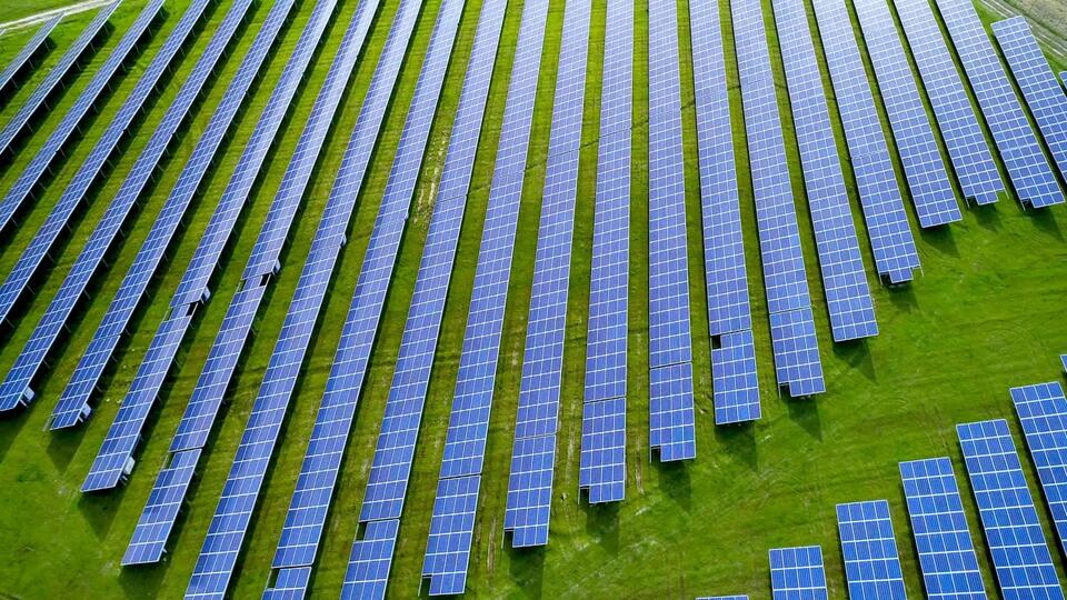 Solar Farms: A Wildlife Detour?