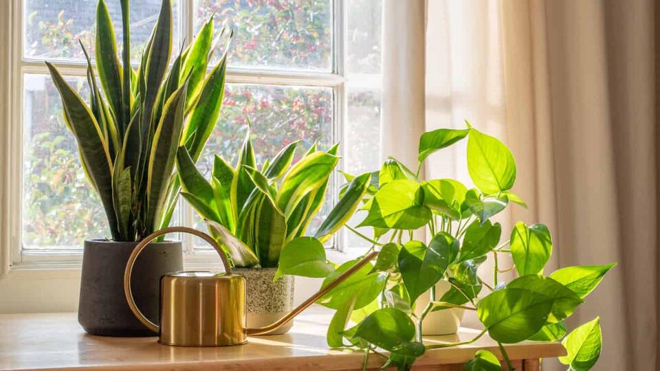 How to Make Your Home Sell Like Hotcakes