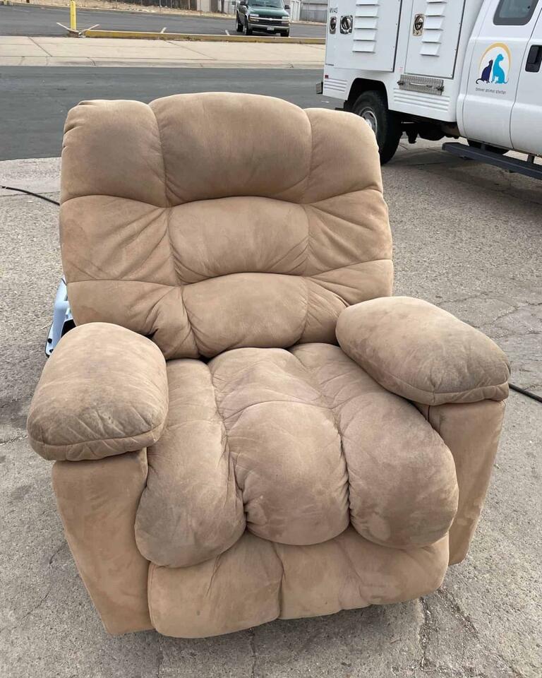 Cat’s wild ride: Lost in a Denver thrift store chair