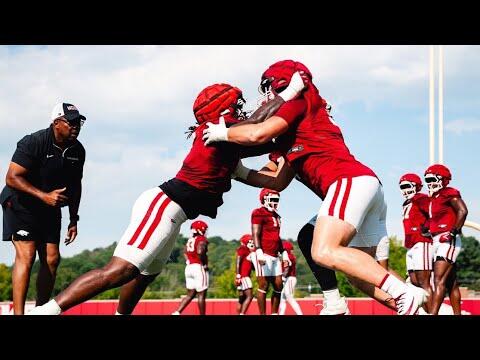 Petrino’s Big Man Bet: Monte Harrison’s Rise
