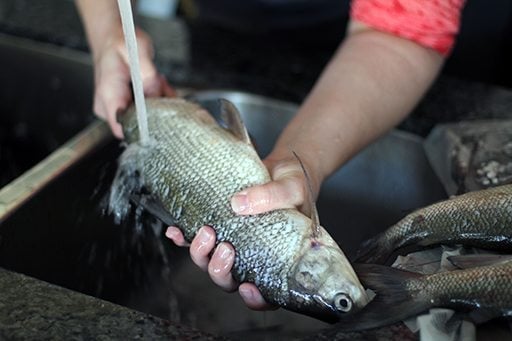 This strange fishing storywill change how you clean fish 🐟