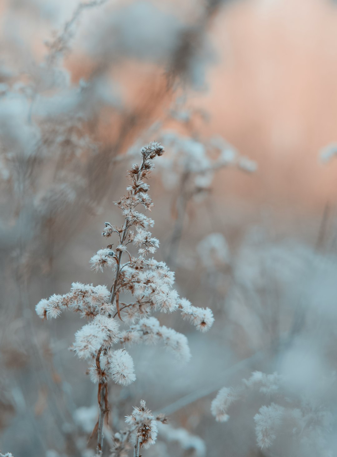 What’s your cold-weather go-to scent?