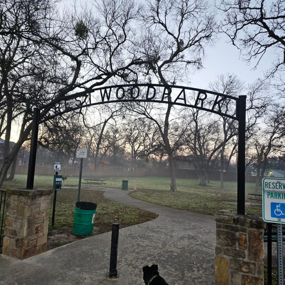 Fort Worth pups rescued from the cold