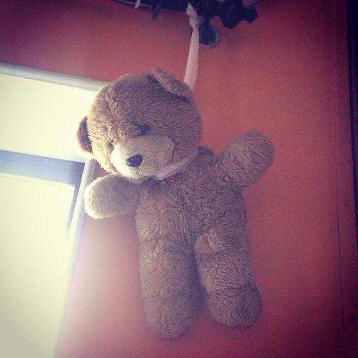 Came Home to Find My Teddy Bear HANGED 😂 And My Brother Said
