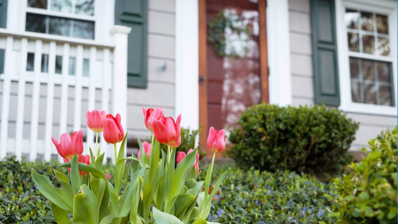  hoa fined a resident for planting flowers in their own yard