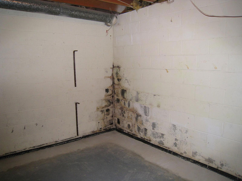 the tenants who seemed perfect — part 1