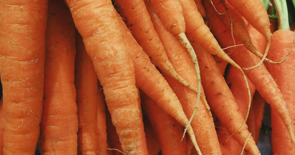 How to Squeeze Extra Veggies from Summer
