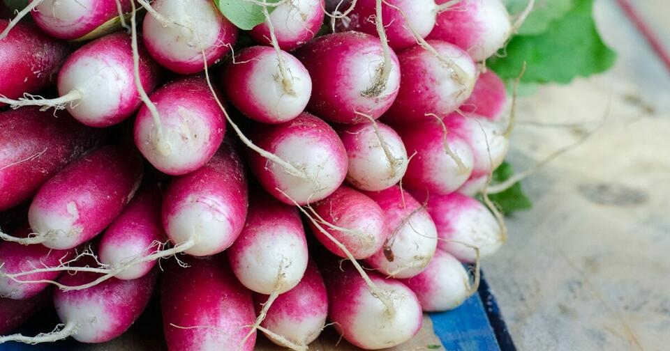 How to Squeeze Extra Veggies from Summer