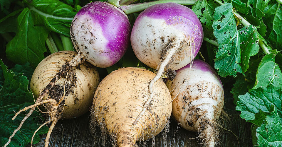 How to Squeeze Extra Veggies from Summer