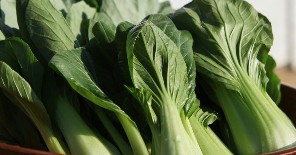 How to Squeeze Extra Veggies from Summer