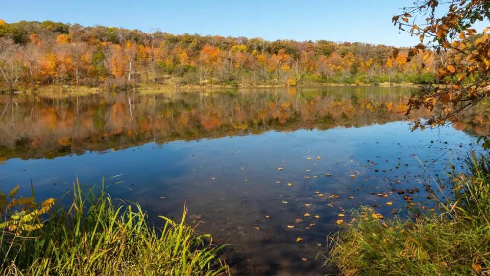 Lake Alice dries up overnight—here’s what happened