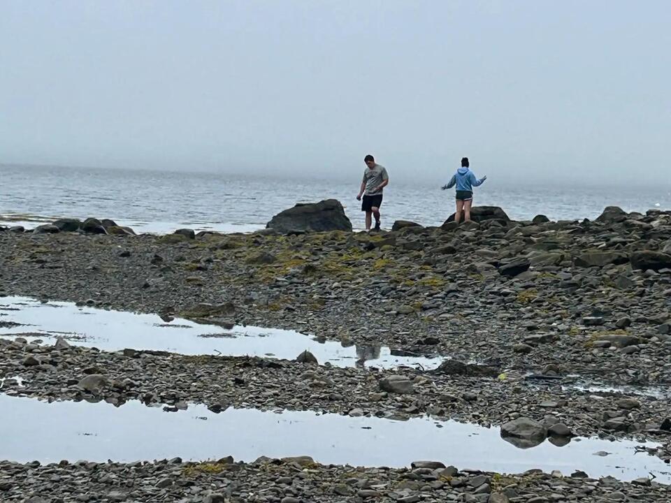 Maine magic: How a simple trip brought my teens back