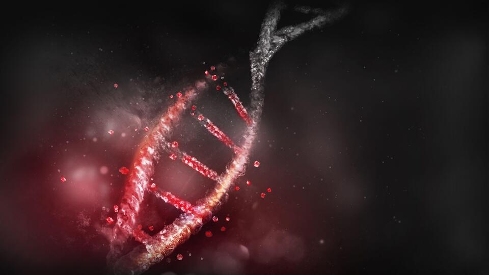 Ancient Proteins Spill Human Evolution Tea