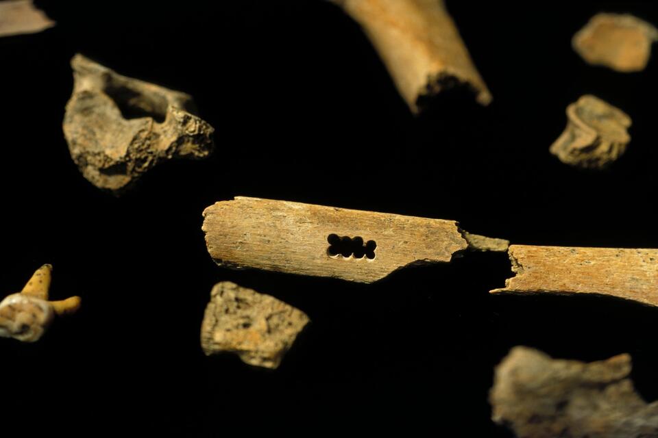 Ancient Proteins Spill Human Evolution Tea