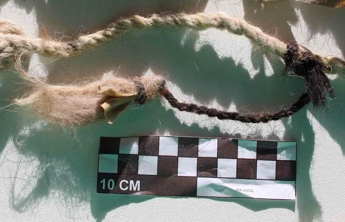 Inca Hair Discovery Flips History