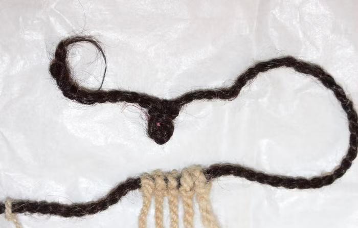 Inca Hair Discovery Flips History