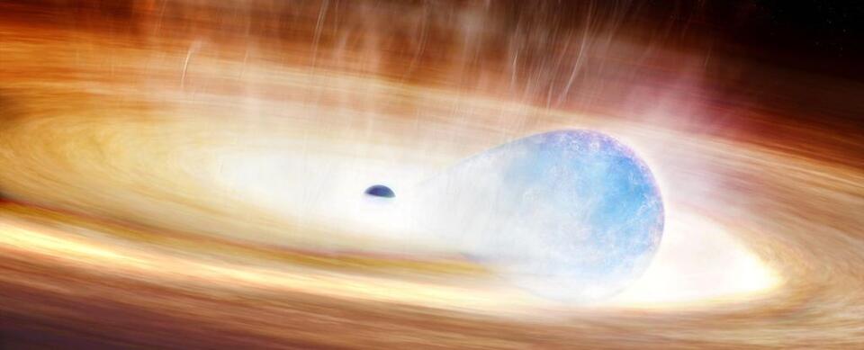 Star Eats Black Hole, Universe Goes Wild