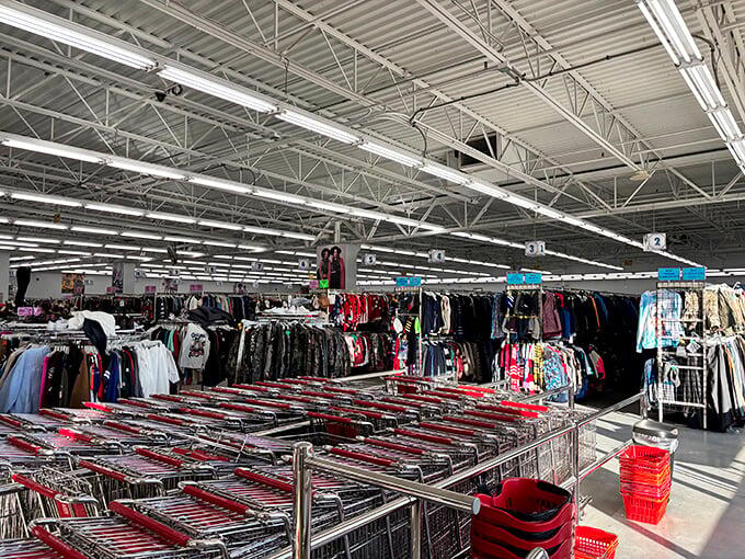 Akron’s thrift haven: Where $40 fills your trunk