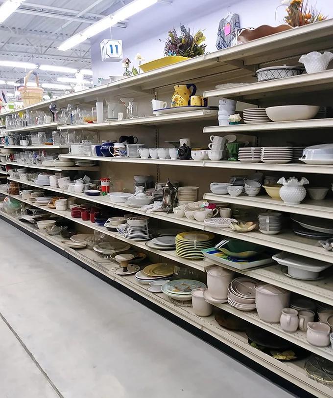 Akron’s thrift haven: Where $40 fills your trunk
