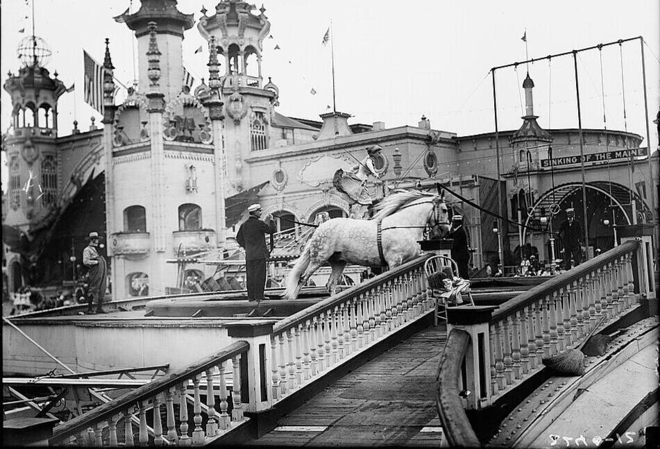 Coney Island’s dark secret: Topsy the elephant