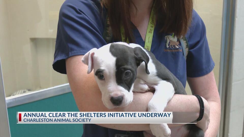 Charleston’s shelters packed—can you help?