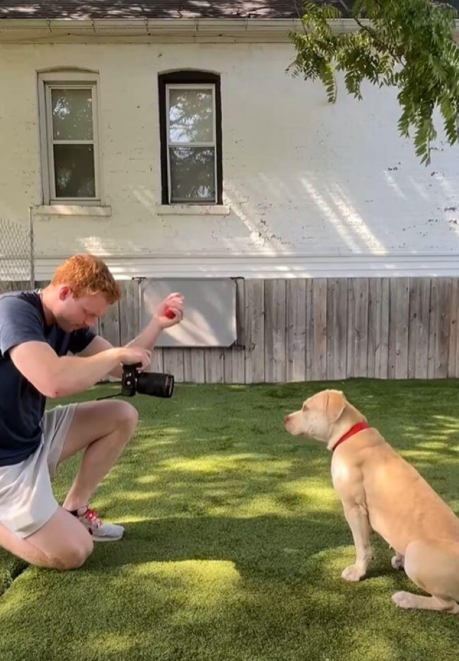 Shelter dog’s photo shoot leads to a new family