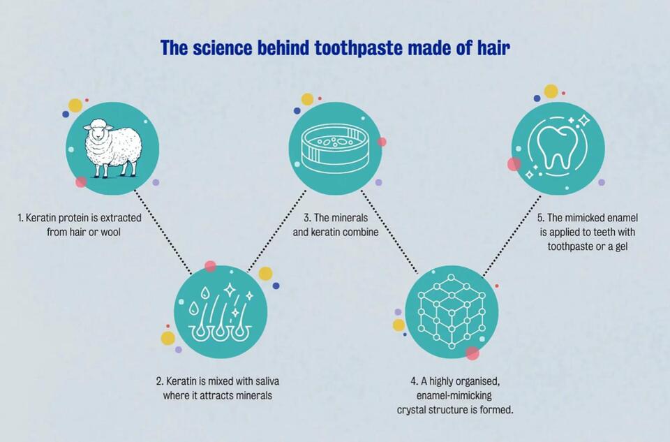 Toothpaste from Hair? Science Says Yes!