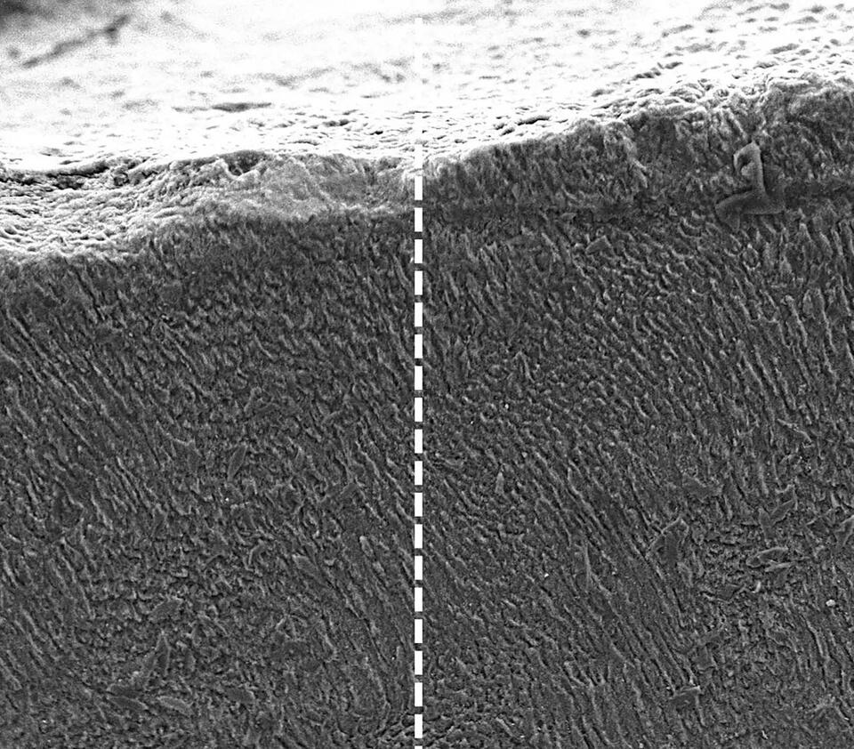 Toothpaste from Hair? Science Says Yes!