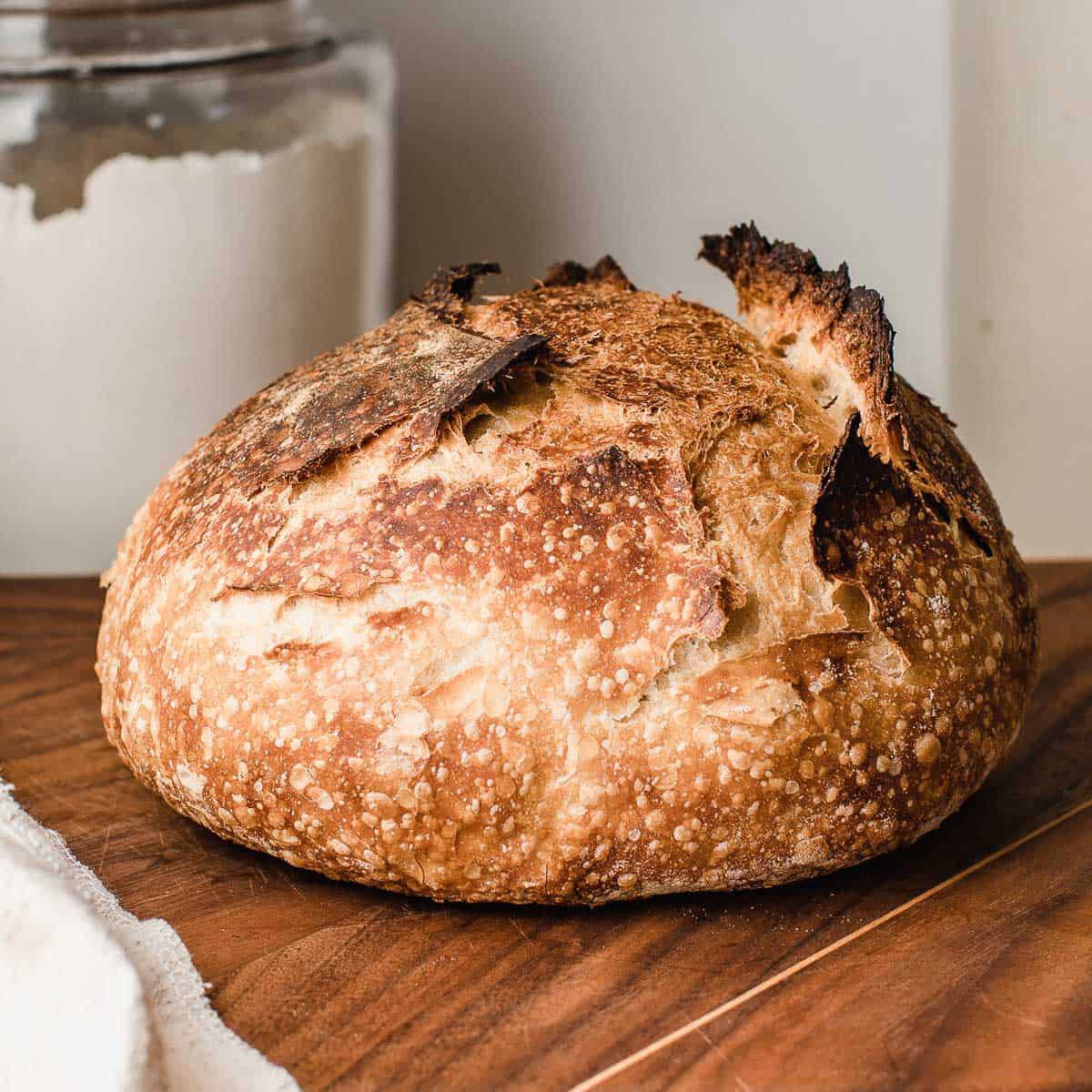 Taylor Swift’s Secret Sourdough Obsession