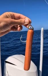 Hot dogs as bait? This guy's a genius! 🌭