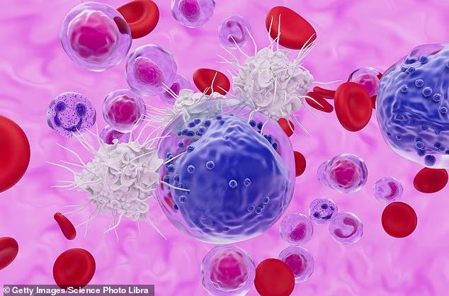 Want to Live to 100? Your Immune System Might Spill the Tea