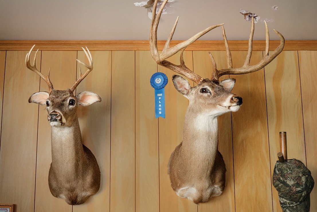 Is Hunting Becoming a Luxury Sport?