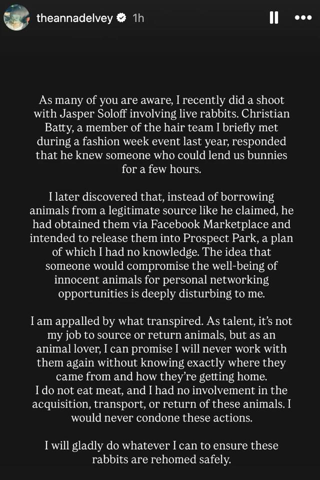 Anna Delvey’s NYC rabbit photo shoot sparks outrage
