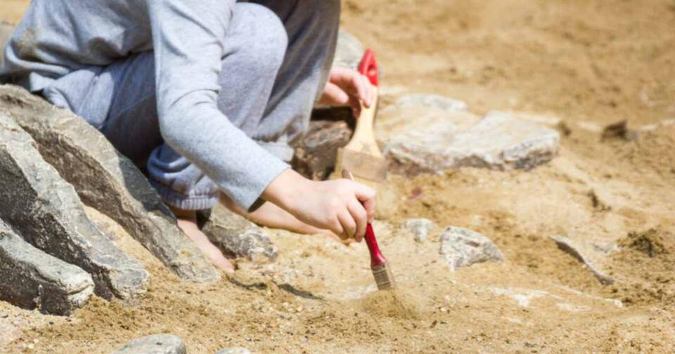 Cave Full of Fossils Discovered!